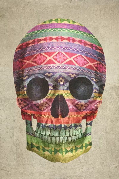 Terry Fan: Navajo Skull by Terry Fan