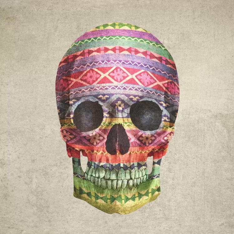 Navajo Skull Square by Terry Fan wall art