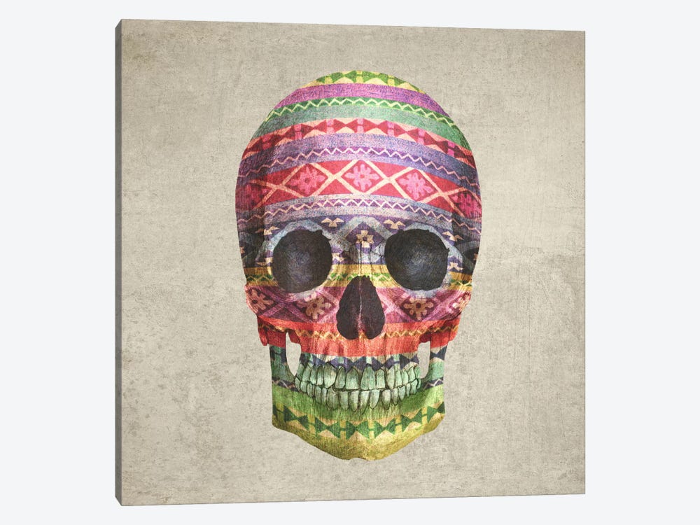 Navajo Skull Square by Terry Fan 1-piece Canvas Art