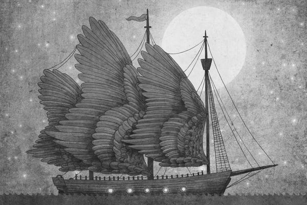 Children's Illustrations: Night Odyssey by Terry Fan