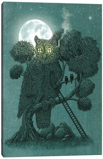 Night Watch Canvas Art Print - Animal Illustrations