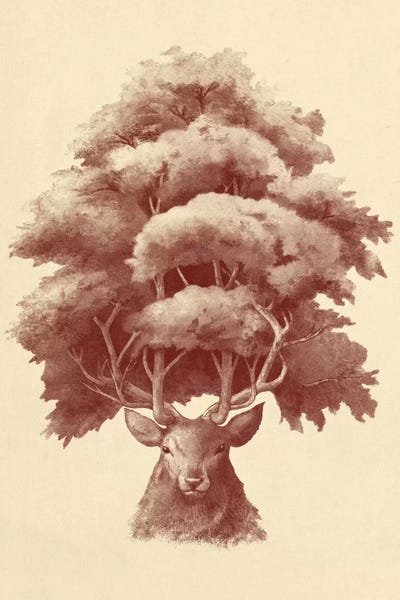 Book illustrations: Old Growth by Terry Fan