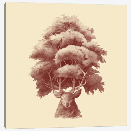 Old Growth Square Canvas Print #TFN150} by Terry Fan Canvas Print