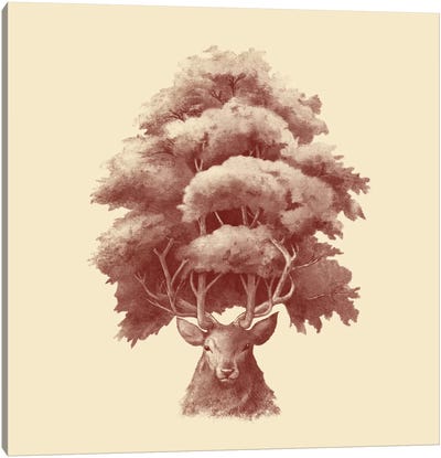 Old Growth Square Canvas Art Print - Deer Art