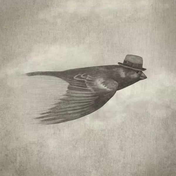 Children's Illustrations: Old Soul by Terry Fan