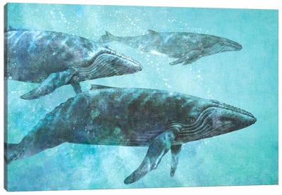 Pod Canvas Art Print - Whale Art
