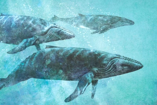 Children's Illustrations: Pod by Terry Fan