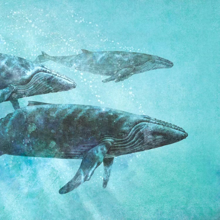 Pod Square by Terry Fan wall art