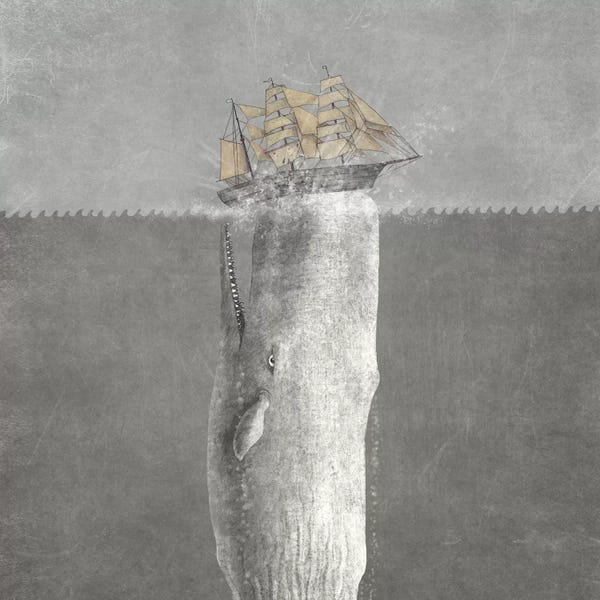 Kids Ocean Life Art: Revenge Square by Terry Fan