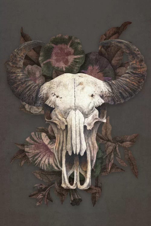 Roam by Terry Fan wall art