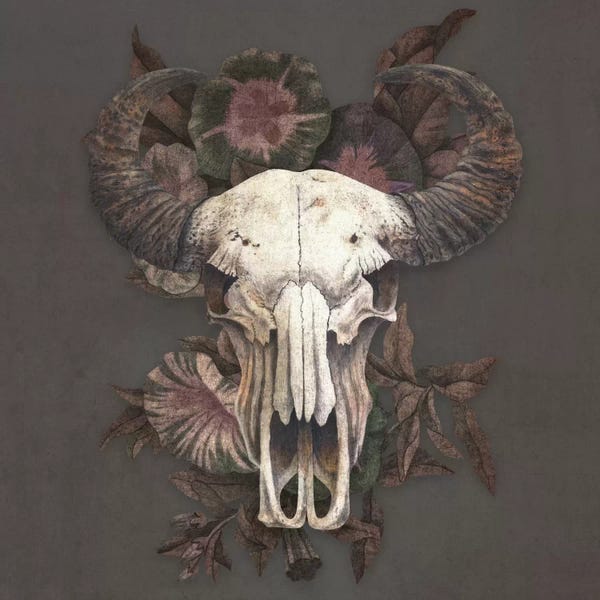 Bulls: Roam Square by Terry Fan