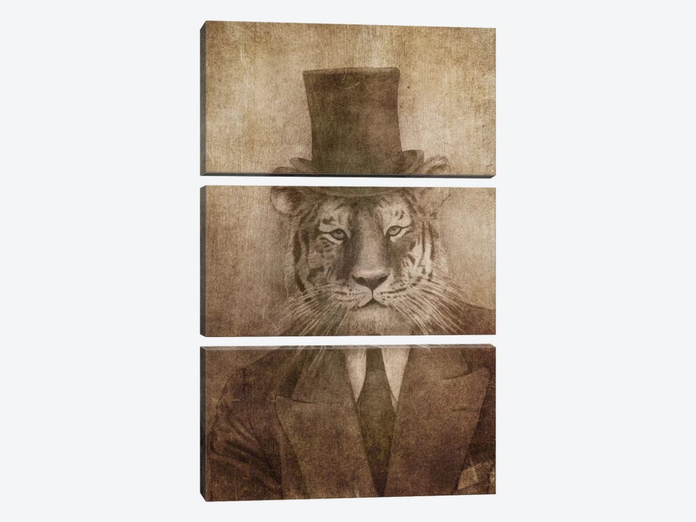 Sir Tiger by Terry Fan 3-piece Canvas Art