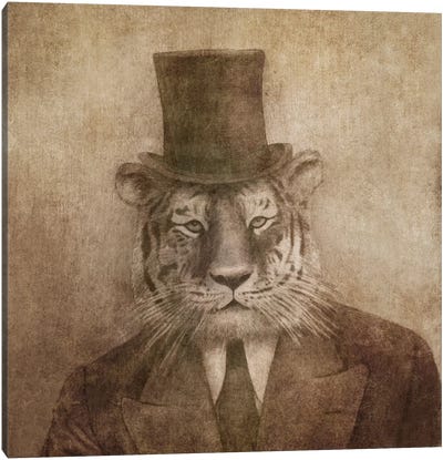 Sir Tiger Square Canvas Art Print - Animal Illustrations