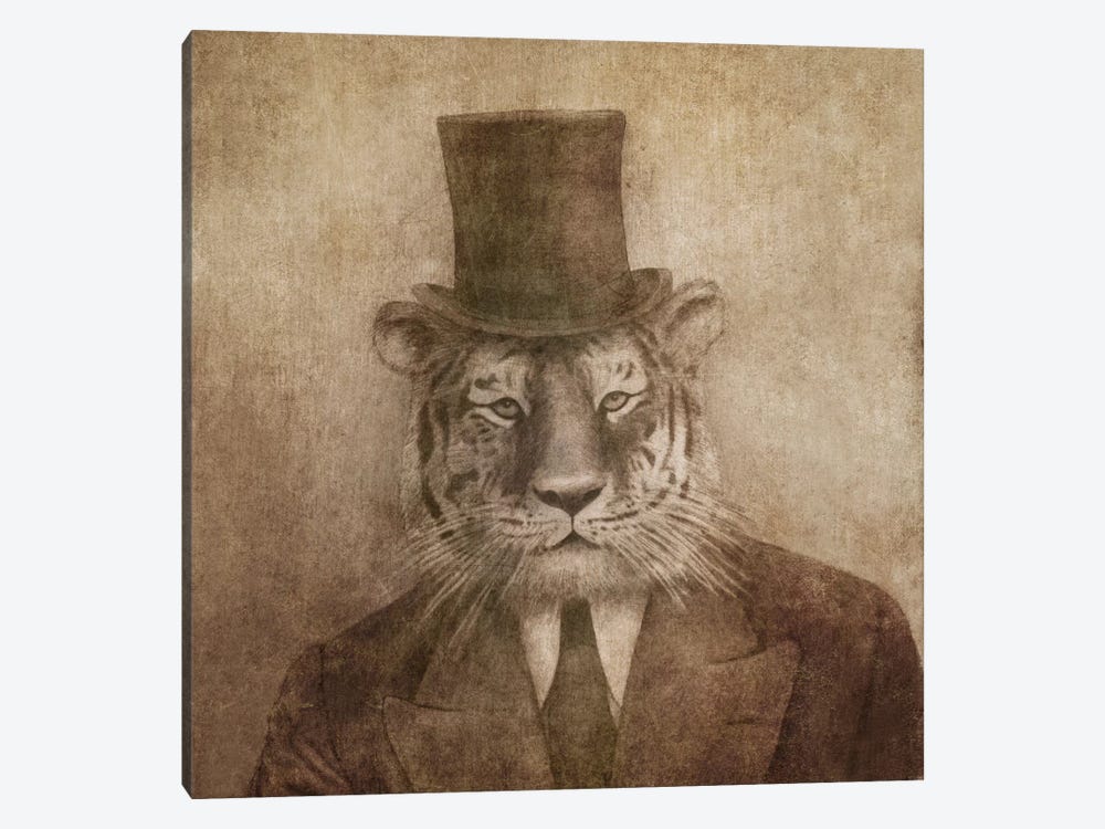 Sir Tiger Square by Terry Fan 1-piece Canvas Print