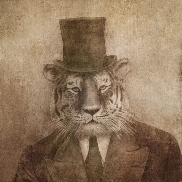 Illustrations: Sir Tiger Square by Terry Fan