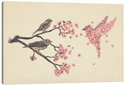 Blossom Bird Canvas Art Print - Nature Close-Up Art