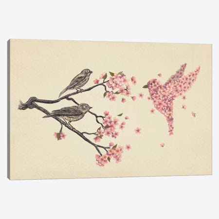 Blossom Bird Canvas Print #TFN17} by Terry Fan Art Print