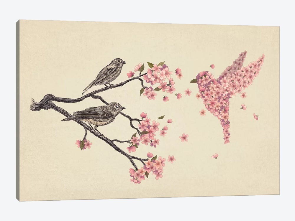 Blossom Bird by Terry Fan 1-piece Canvas Print