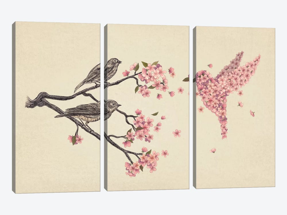 Blossom Bird by Terry Fan 3-piece Art Print