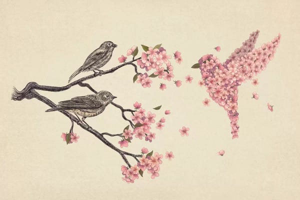 Terry Fan: Blossom Bird by Terry Fan