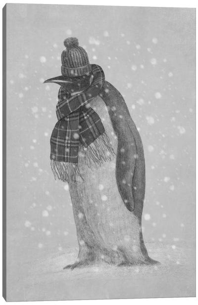 South Pole Essentials Canvas Art Print - Penguin Art
