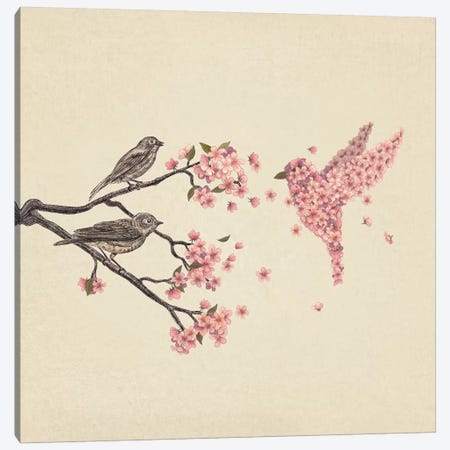 Blossom Bird Square Canvas Print #TFN18} by Terry Fan Canvas Wall Art