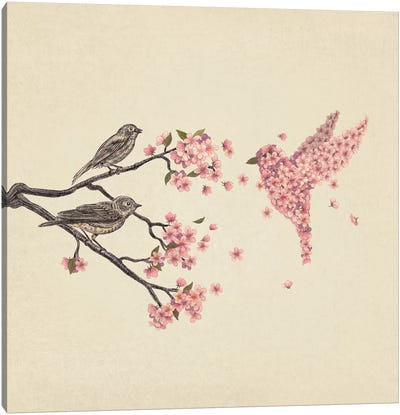 Blossom Bird Square Canvas Art Print - Cherry Blossom Art