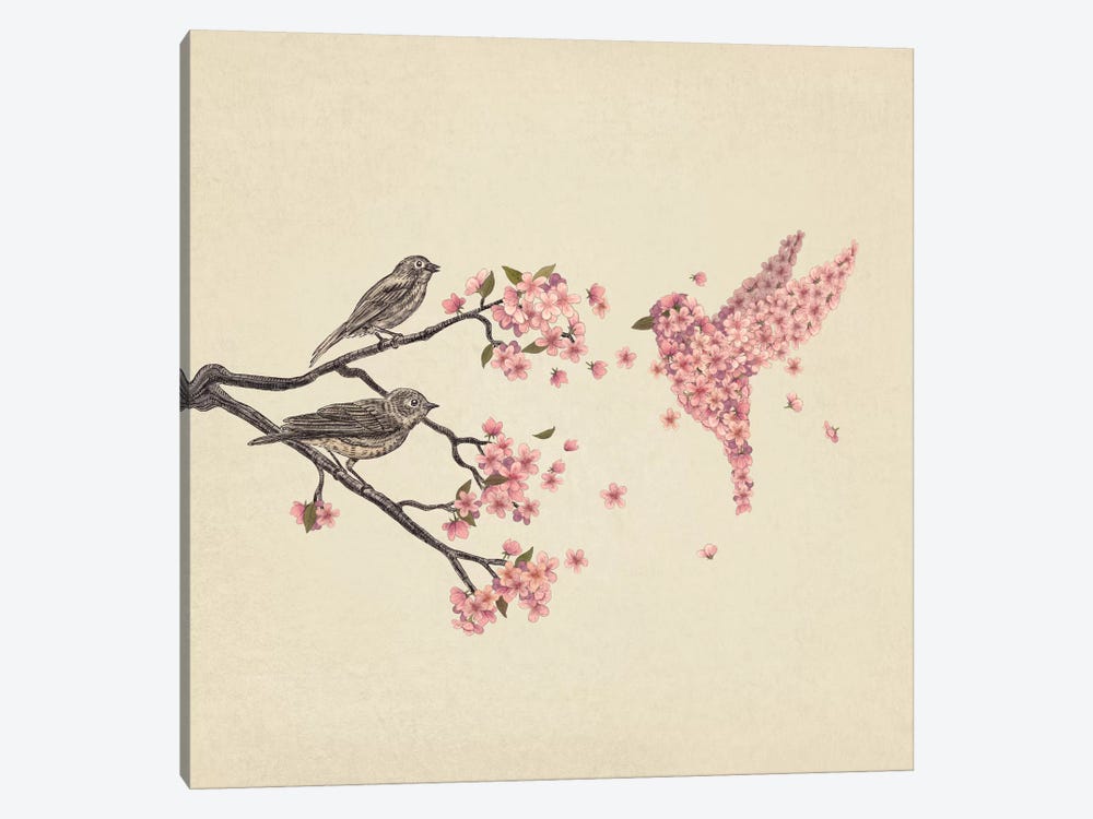 Blossom Bird Square by Terry Fan 1-piece Canvas Artwork
