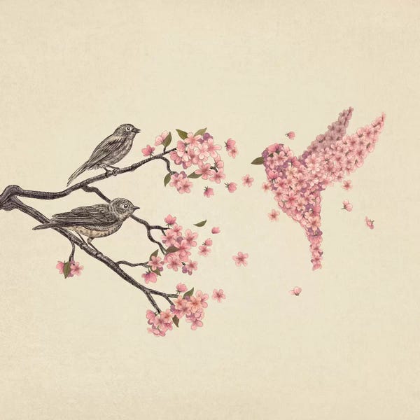 Children's Illustrations: Blossom Bird Square by Terry Fan