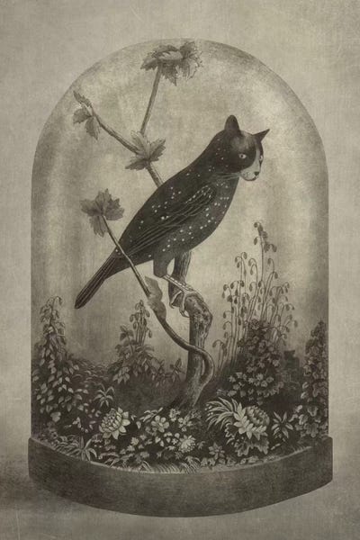 Children's Illustrations: The Curiosity by Terry Fan