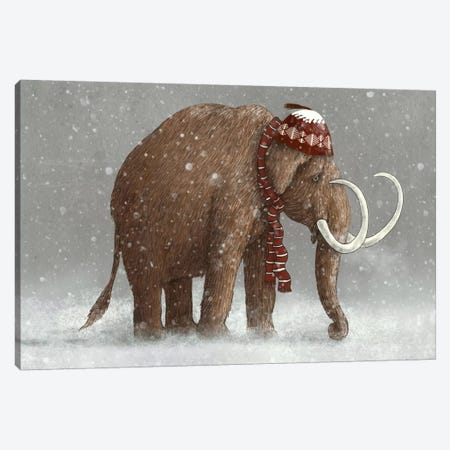The Ice Age Sucked Canvas Print #TFN198} by Terry Fan Canvas Art Print
