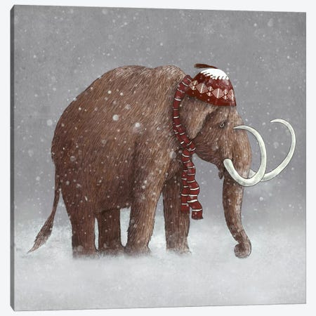 The Ice Age Sucked Square Canvas Print #TFN199} by Terry Fan Canvas Print
