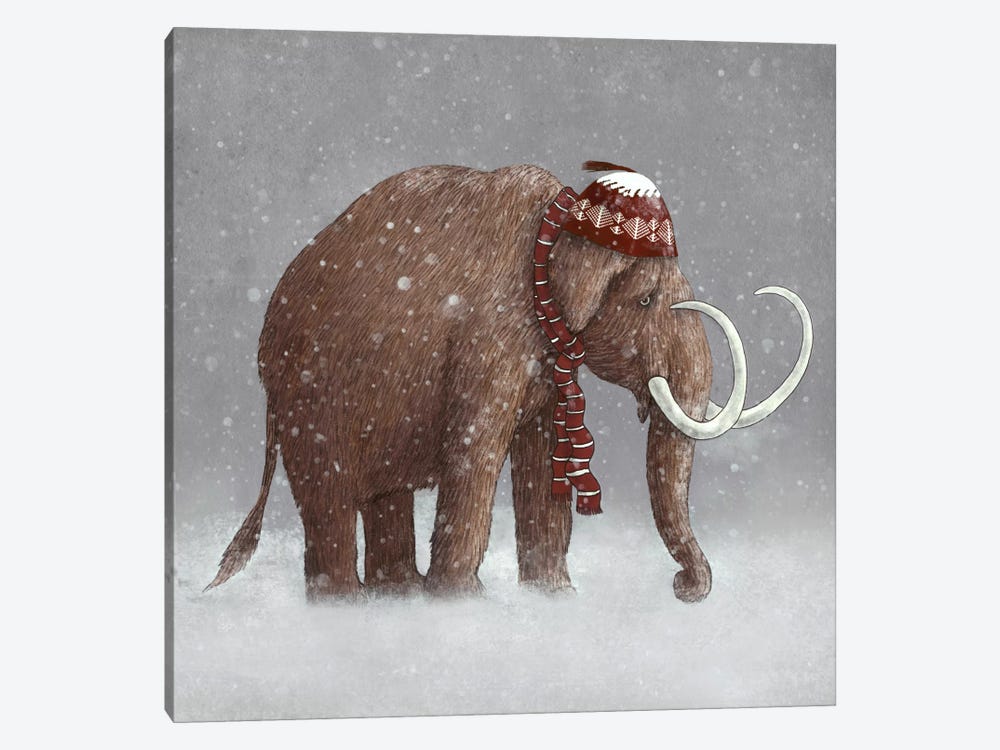 The Ice Age Sucked Square by Terry Fan 1-piece Canvas Print