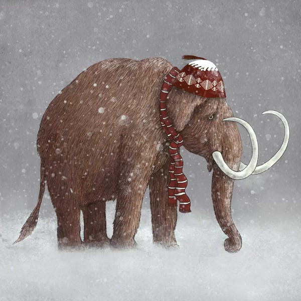 Children's Illustrations: The Ice Age Sucked Square by Terry Fan