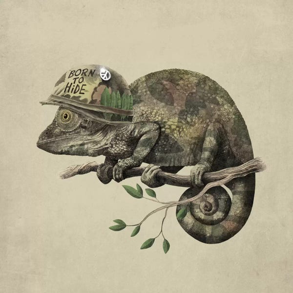 Chameleons: Born to Hide by Terry Fan