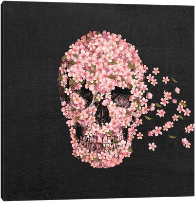 A Beautiful Death Canvas Art Print - Terry Fan