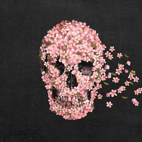 Skulls: A Beautiful Death by Terry Fan