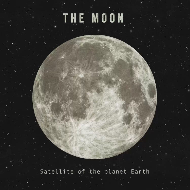 The Moon by Terry Fan wall art