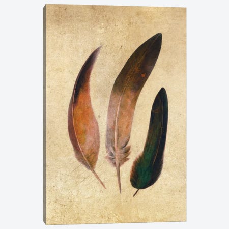 Three Feathers Canvas Print #TFN212} by Terry Fan Canvas Wall Art