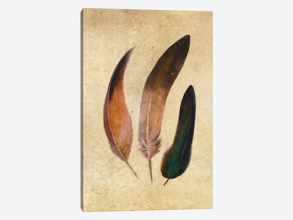 Three Feathers by Terry Fan 1-piece Canvas Art