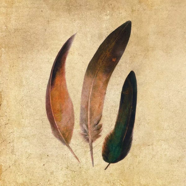 Feathers: Three Feathers Square by Terry Fan