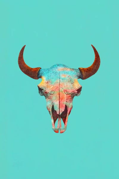 Bulls: Turquoise Sky Portrait by Terry Fan