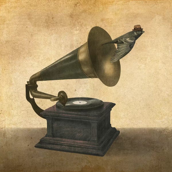 Media Formats: Vintage Songbird by Terry Fan