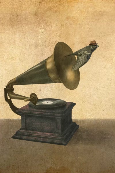 Vinyl Records: Vintage Songbird Portrait by Terry Fan