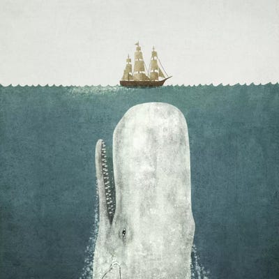 White Whale Square Canvas Art Print By Terry Fan | ICanvas