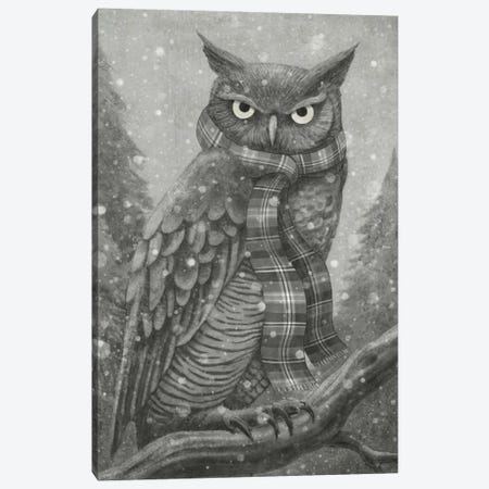 Winter Owl Canvas Print #TFN236} by Terry Fan Art Print