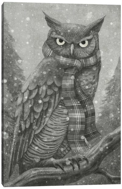 Winter Owl Canvas Art Print - Children's Illustrations 