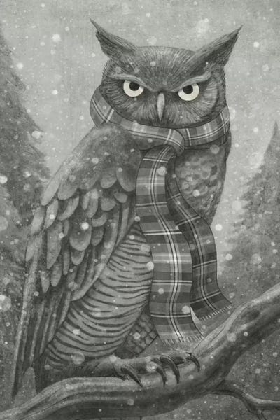 Terry Fan: Winter Owl by Terry Fan