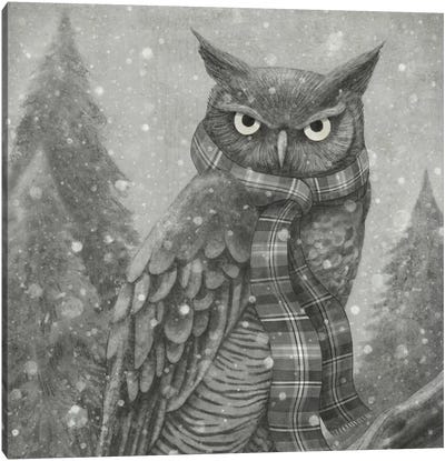Winter Owl Square Canvas Art Print - Children's Illustrations 