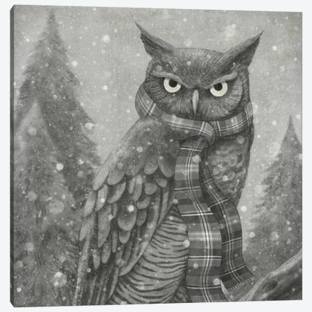 Winter Owl Square Canvas Print #TFN237} by Terry Fan Canvas Print